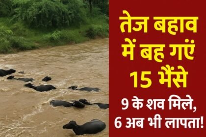 झांसी बारिश हादसा