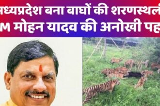 डॉ. मोहन यादव
