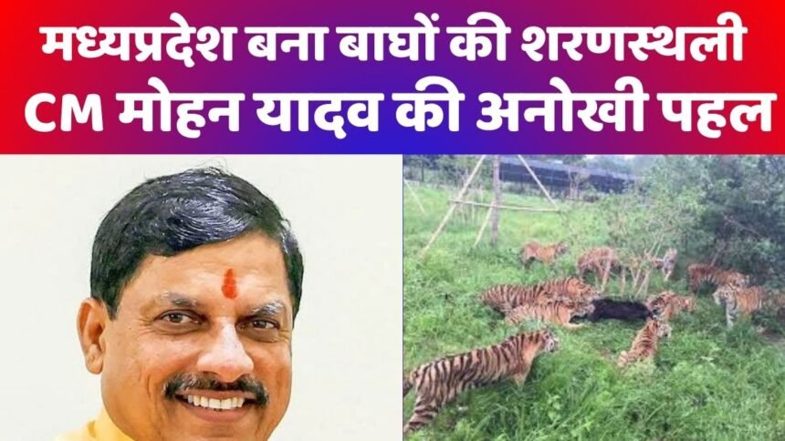 डॉ. मोहन यादव