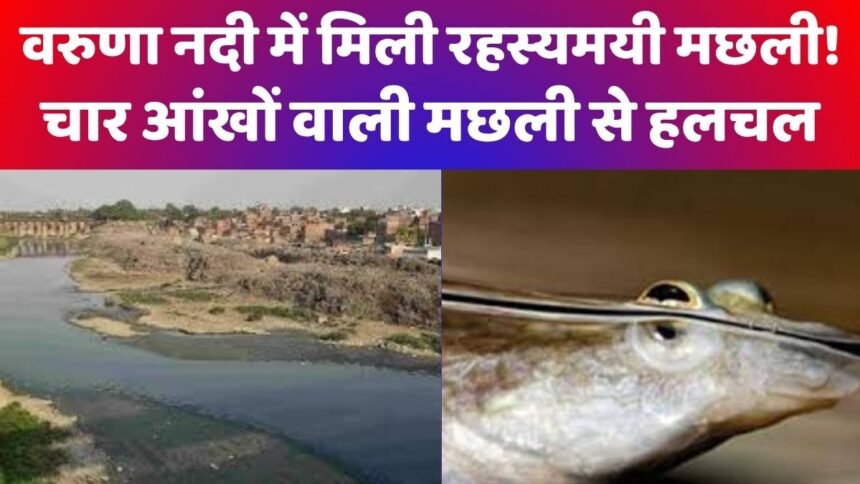 वरुणा नदी