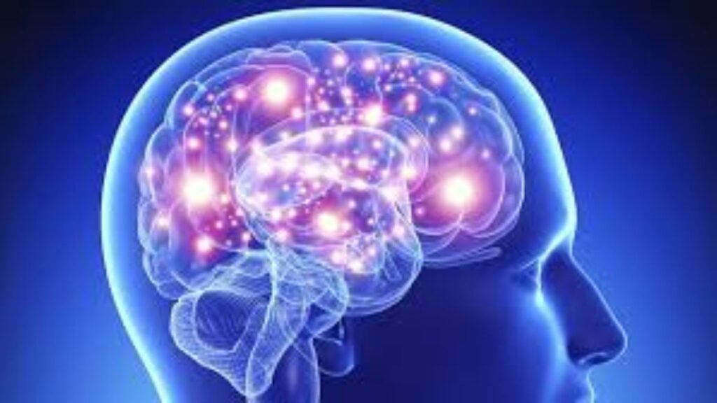 Brain Thinking