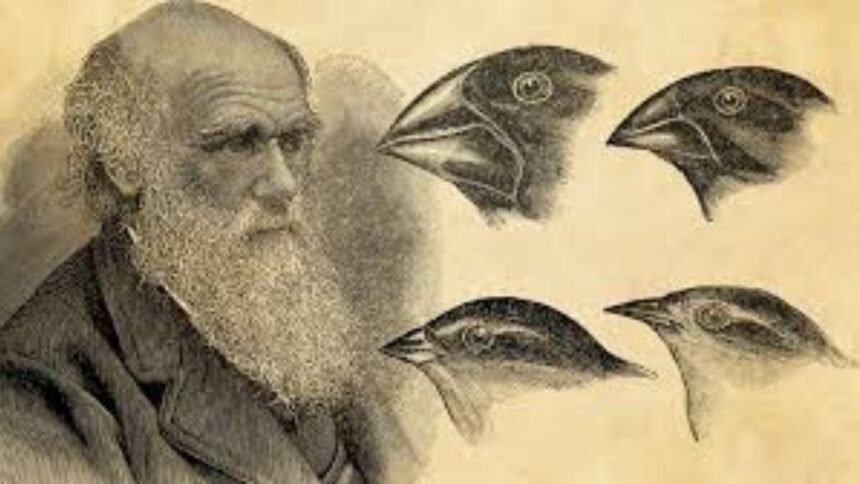 Charles Darwin – प्रकृति के विकासवाद का जनक 1 Charles Darwin
