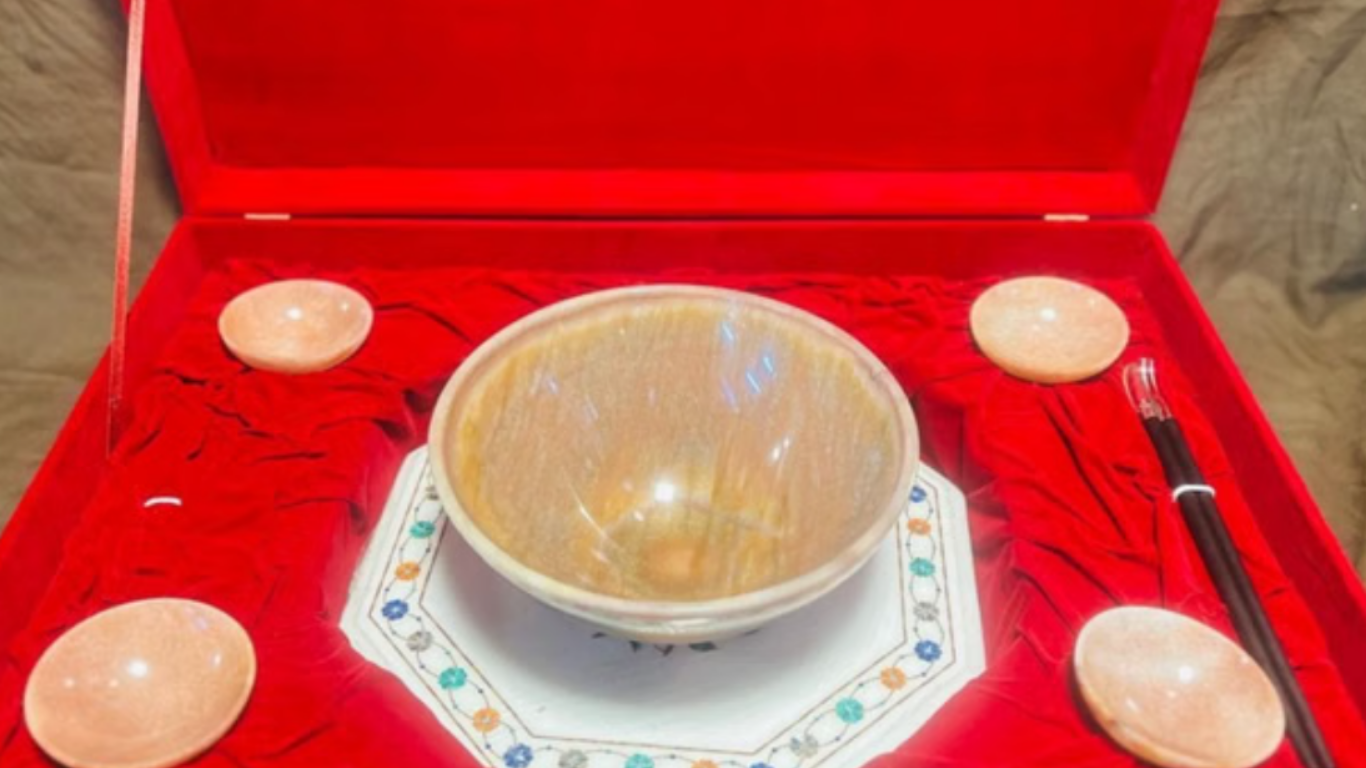 PM modi gifted Ramen Bowl