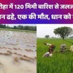 अमरोहा kisan