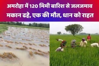 अमरोहा kisan
