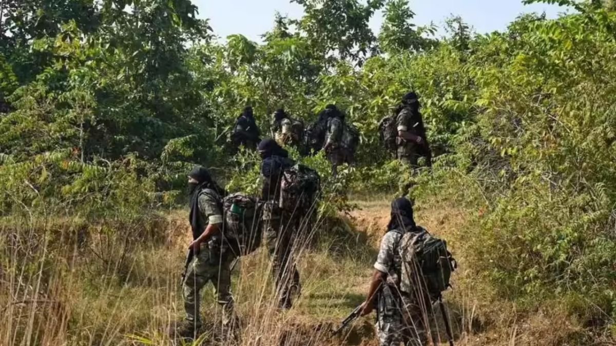 नक्सल मुठभेड़: महाराष्ट्र-छत्तीसगढ़ सीमा पर पुलिस और नक्सलियों की भिड़ंत, चार माओवादी मारे गए 1 C-60 commando
