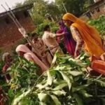 दबंगों