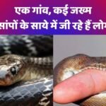 सांपों