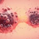 Cancer Medicine