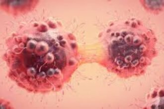 Cancer Medicine