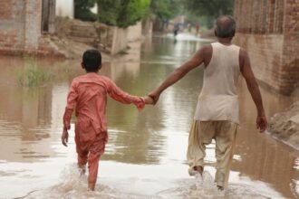 सब कुछ बह गया: 30 साल बाद पंजाब में सबसे भयावह बाढ़, किसान तबाही झेल रहे हैं 2 punjab flood