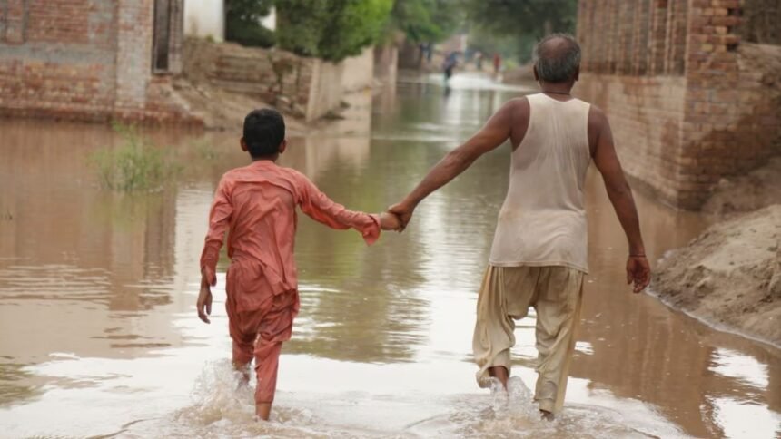 सब कुछ बह गया: 30 साल बाद पंजाब में सबसे भयावह बाढ़, किसान तबाही झेल रहे हैं 1 punjab flood