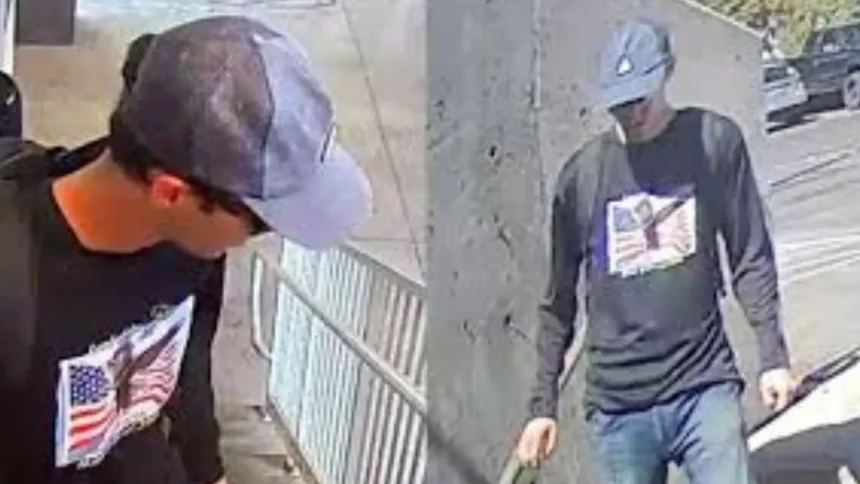 टायलर रॉबिन्सन कौन है