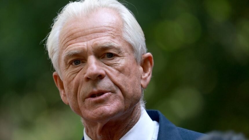 पीटर नवारो