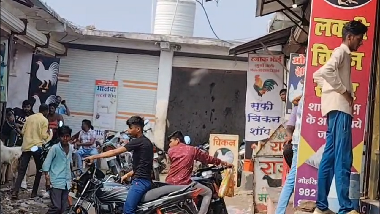 मक्सी में तीन दुकानों के ताले टूटे, हजारों का चिकन चोरी 1 हजारों का चिकन चोरी