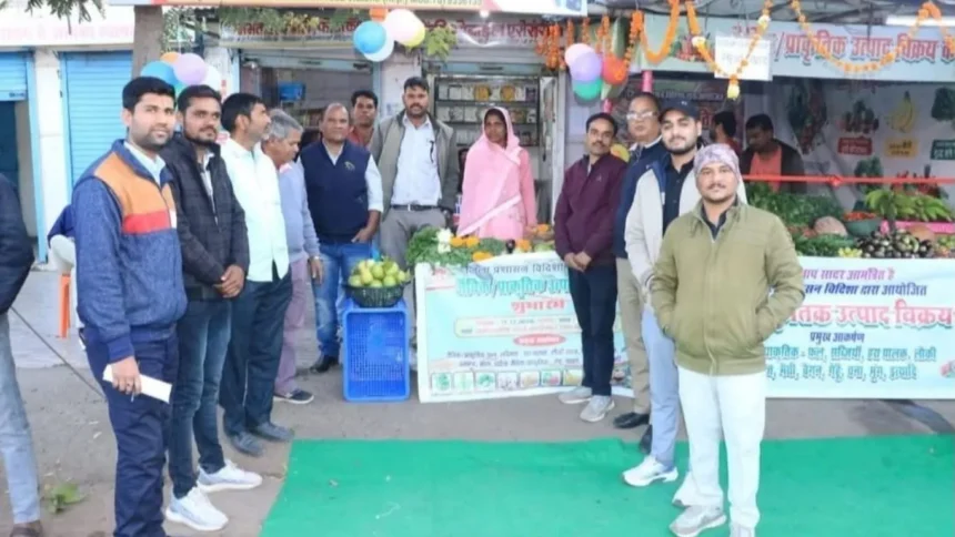 vididha aajivika chaupati