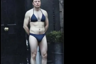 elon musk in bikni