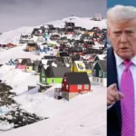 trump greenland