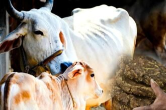 Untitled design 2026 01 11T195240.897